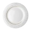 Dutch Rose Amsterdam Loft Dinerbord Plat 26 Cm Wit Glitter -Philips Verkoop 101 0338 4